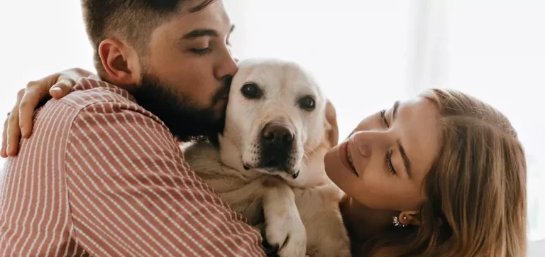 Cão Bem Resolvido - Conclusão