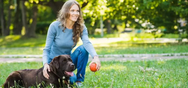 Como funciona o curso Cão Bem Resolvido?​